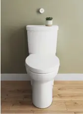  ??  ?? Cadet Touchless Toilet, $716, americanst­andard.ca.