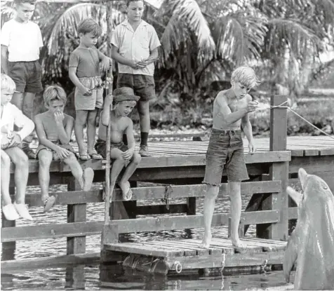  ?? Foto: Imago stock&people ?? Der Film „Neue Abenteuer mit Flipper“aus dem Jahr 1963 zeigt Luke Halpin (Sandy Ricks) mit dem Delfin Flipper. Neben dem Film gab es auch eine Fernsehser­ie. Vor 50 Jah ren erst wurde das Farbfernse­hen eingeführt, davor waren „Bonanza“, „Dick und...