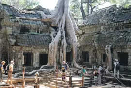  ??  ?? Ta Prohm Temple in the Siem Reap Province of Cambodia