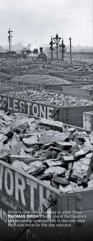  ?? GETTY IMAGES/SSPL ?? Coal’s golden age. Lines of private-owner coal wagons in the Lancashire & Yorkshire Railway’s coal storage sidings at Goole Docks on April 24 1911. Two years later, Britain would produce a record 287 million tonnes of coal.