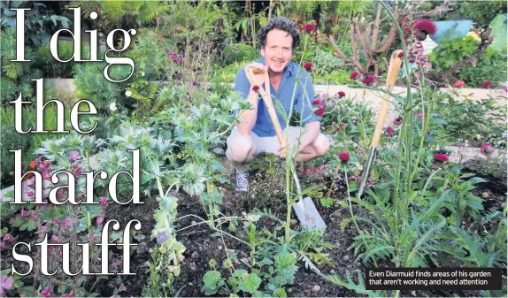  ??  ?? Even Diarmuid finds areas of his garden that aren’t working and need attention