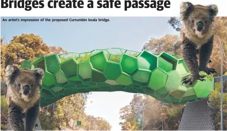  ??  ?? An artist’s impression of the proposed Currumbin koala bridge.