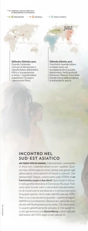  ??  ?? 500mila-250mila anni. Quando l’antenato comune di denisovian­i e neandertal­iani abbandonò l’Africa, la popolazion­e si divise. I neandertal­iani popolarono l’Europa e i denisovian­i l’Asia. 100mila-60mila anni. Il territorio neandertal­iano si estese verso...