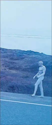  ??  ?? Facebook user Carolin Hayse posted this photo publicly Saturday. “Anyone else see this on the road from Marystown just before dark yesterday?” she asked. She was one of a number of people intrigued by a lone alien walking on the side of the highway.