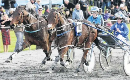  ?? PHOTO: TRISH DUNELL. ?? Hoofing it . . . Otago horse of the year Eamon Maguire and Natalie Rasmussen (right) beat Star Galleria and Zac Butcher in the Harness Jewels at Cambridge on Saturday.