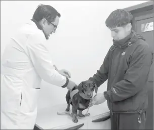  ?? XCA ?? En el Hospital de la Mascota, el médico veterinari­o Edyson Fajardo, enseña a realizar el nudo de Tellington Ttouch. /