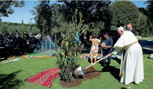  ??  ?? Nei giardini Papa Francesco nei giardini vaticani dove ha scavato la terra con una vanga per poi piantare un albero d’ulivo, simbolo di pace