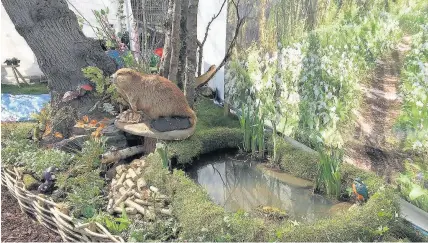  ??  ?? > Local woodlands display at the RHS flower show in Cardiff’s Bute Park this month