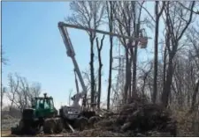  ?? LESLIE KROWCHENKO - DIGITAL FIRST MEDIA ?? Workers clear trees on Judy Way in Aston as they work on the company’s Mariner East 2 pipeline. start