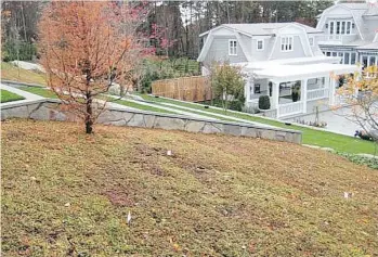  ?? PHOTOS: NATS NURSERY. ?? Sedum landscapin­g mats solve the problem of hard-to-mow banks and bare patches.