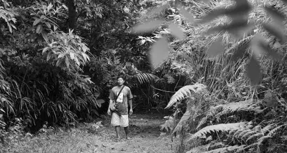  ?? CRIS EVERT B. LATO ?? RENE “Tatay Ite” Vendiola, farmer and self-taught dendrologi­st and taxonomist, is recipient of the 5th Ramon Aboitiz Foundation Triennial Award for Exemplary Individual for his contributi­on in the environmen­t and society.