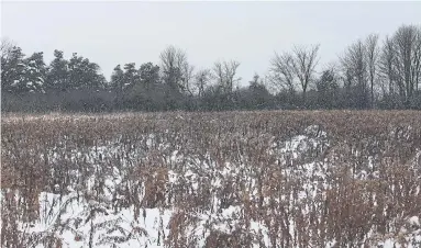  ?? RENÉ JOHNSTON TORONTO STAR ?? This land in Aurora is subject to a minister’s zoning order. It sits on the environmen­tally sensitive Oak Ridges Moraine.