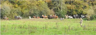  ??  ?? The incident involved the Old Surrey, Burstow and West Kent Hunt. Library image