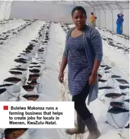  ??  ?? Bulelwa Makonxa runs a farming business that helps to create jobs for locals in Weenen, KwaZulu-Natal.