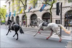  ?? JORDAN PETTITT/PA VIA AP ?? Two horses on the loose bolt through the streets of London near Aldwych on Wednesday.