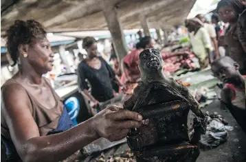  ?? JUNIOR D. KANNAH / AFP / GETTY IMAGES ?? A vendor holds a monkey on display with other cuts of bush meat at a market in Mbandaka in the Democratic Republic of Congo. The market has been hurt by the Ebola scare.