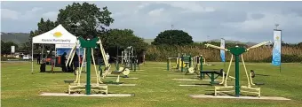  ??  ?? In Knysna is ‘n buiteluggi­mnasium in Mei vanjaar langs Cathy Park in George Rex Drive opgerig. Lloyd Bosman visualisee­r so ‘n gimnasium vir Andersonvi­lle.