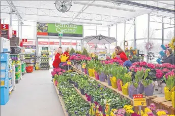  ?? SUBMITTED ?? Business will soon be booming in garden shops. Some careful shopping will save money and give buyers a lot more pleasure from plants they buy.