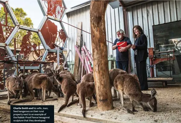 ??  ?? Charlie Smith and his wife, Joan, feed kangaroos on their rural property next to an example of the Rabbit-Proof Fence hexagonal sculpture that they developed.