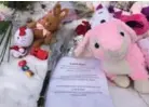  ?? ANDREW FRANCIS WALLACE/TORONTO STAR ?? Memorials of stuffed animals and notes appeared at St. Raphael Catholic School Tuesday for Camila Torcato, a 5-year-old who died Monday after being pinned to a car by an SUV while she was being picked up from school by her father, Amilcar.