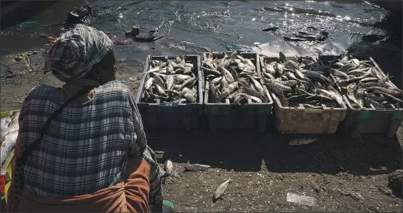  ?? (AP/Leo Correa) ?? A woman sits next to crates filled with fish Jan. 20 as she works at the shore of the Senegal River in Saint Louis.