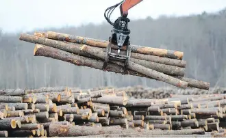  ?? SEAN KILPATRICK/THE CANADIAN PRESS FILES ?? The federal Liberals have requested World Trade Organizati­on consultati­ons over American softwood lumber duties in hopes of having a panel litigate the dispute.