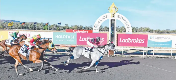  ?? Picture: NIKKI WESTOVER ?? Pyxis claims the Holdfast Insurance Brokers Pioneer Sprint yesterday at Alice Springs' Pioneer Park