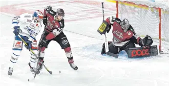  ?? FOTO: WWW.IMAGO-IMAGES.DE ?? Kölns Torhüter Hannibal Weitzmann gegen Schwenning­ens Marius Möchel. Die Wild Wings drehen das Spiel nach einem 2:1-Rückstand um.