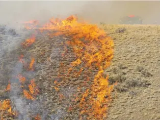  ?? DESERET NEWS FILE PHOTO VIA AP ?? Firefighte­rs battle a brush fire in 2018 near Shaggy Mountain Road in Herriman, Utah. The Trump administra­tion is proposing an ambitious plan to slow Western wildfires by bulldozing, mowing or revegetati­ng large swaths of land along 11,000 miles of terrain in the West.