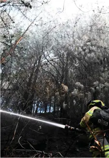 ?? — AFP photo ?? A firefighte­r puts out a forest fire in Bogota.