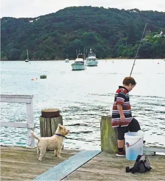  ??  ?? Top: During the height of the whaling industry, Russell was known as “the hellhole of the Pacific.” Far left: Cape Reinga marks the separation of the Tasman Sea from the Pacific Ocean. Left: A boy and his dog fish from the pier in Russell.