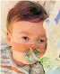  ??  ?? TRAGIC Alfie Evans and Noel Conway