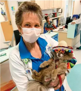  ?? ?? Volunteer Farley helping celebrate Cinco de Mayo in the pediatric intensive care unit