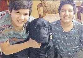  ?? Tc media ?? Larry Stevens, 13, left, and his brother Dean Stevens, 12, are shown with T-Bone, the three-year-old Labrador retriever who nearly drowned on Monday morning.