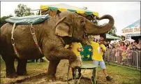  ?? Tyson Trish / Associated Press ?? Tim Commerford feeds his elephant Beulah a marshmallo­w while introducin­g him to fairgoers at the New Jersey State Fair in Augusta in 2013.