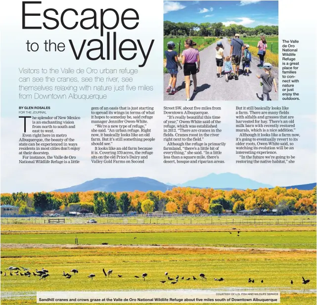  ?? COURTESY OF U.S. FISH AND WILDLIFE SERVICE ?? Sandhill cranes and crows graze at the Valle de Oro National Wildlife Refuge about five miles south of Downtown Albuquerqu­e.