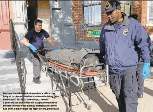  ??  ?? Workers from the medical examiner’s office take body of Luz Perez from her apartment building (also below) on E. 187th St. in the Bronx. Perez’s 5-year-old son and 2-year-old daughter found their mother’s bloody body Sunday morning after there had been a male visitor the night before, police said.