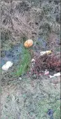  ?? Photograph: Colin Morley. ?? Rubbish has been gathering in lay-bys from Fort William to Glenfinnan.