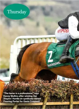  ?? ?? “The horse is a profession­al,” says Danny Mullins after winning the Stayers’ Hurdle on syndicate-owned Flooring Porter for Gavin Cromwell