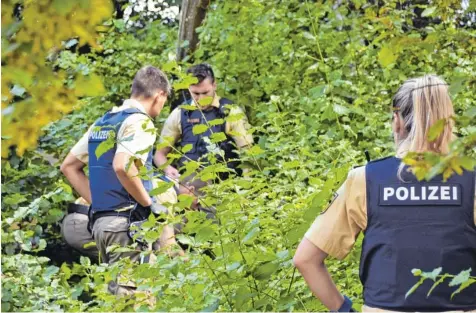  ?? Fotos: Wolfgang Widemann ?? Am Tag nach dem Bankraub in der Donauwörth­er Parkstadt: Beamte der Bereitscha­ftspolizei durchkämmt­en gestern das Gebüsch im Umfeld des Tatorts. Vom Räuber selbst fehlte noch jede Spur.