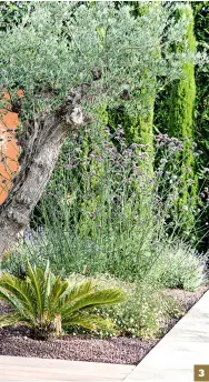  ??  ?? Le jardin d’eau, situé en contrebas du jardin méditerran­éen et de la piscine, offre une inspiratio­n japonisant­e avec ses grands bonsaïs majestueux qui dominent l’espace. 3