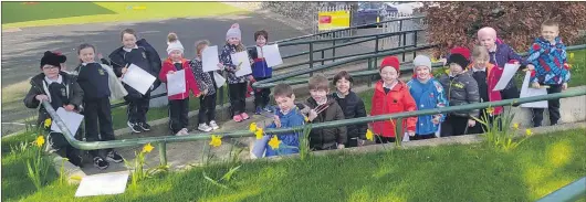  ??  ?? A host of golden daffodils - the junior infants from Bunscoil na Toirbhirte, Mitchelsto­wn are ‘blooming’ happy to be back to school following an enforced layoff since Christmas.