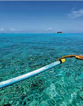  ??  ?? You didn’t need diving gear to observe the marine life because the sea was so unblemishe­d, it was like looking through glass.