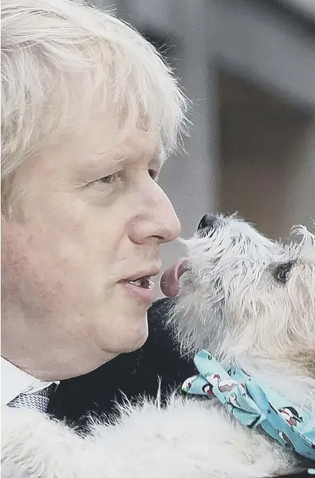  ??  ?? 2 Boris Johnson with Dilyn on General Election polling day. One year on, the dog’s a star, a rascal and right at the heart of government intrigue