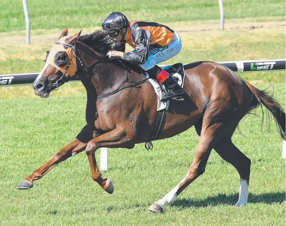 ?? Picture: AAP IMAGE ?? Benfica Princess wins at Doomben this month.