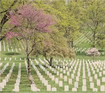  ?? ?? Tra le lapidi. Il cimitero nazionale di Arlington in Virginia
ADOBESTOCK