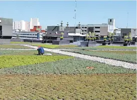  ?? JORGE CARBALLO ?? Plan de edificios sustentabl­es hacia 2050.