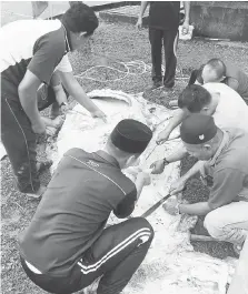  ??  ?? KERJASAMA: Daging lembu dilapah dengan kerjasama para anggota dan orang ramai di Masjid Solahuddin Al-Ayubi, Kem Penrissen semalam.