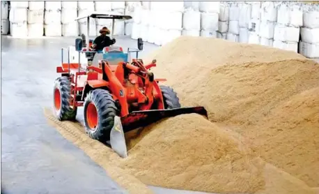  ?? HENG CHIVOAN ?? The Kingdom exported 153,688 tonnes of milled rice in the first quarter of this year, down by 33.45 per cent on a yearly basis.