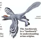 ?? JULIUS T. CSOTONYI ?? The Anchiornis is a “landmark” in understand­ing avian origins.